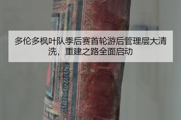 duo-lun-duo-feng-ye-dui-ji-hou-sai-shou-lun-you-hou-guan-li-ceng-da-qing-xi-chong-jian-zhi-lu-quan-mian-qi-dong-2-484.jpg