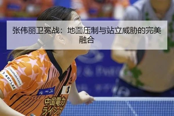 zhang-wei-li-wei-mian-zhan-di-mian-ya-zhi-yu-zhan-li-wei-xie-de-wan-mei-rong-he-3-448.jpg
